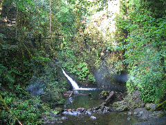 Goldstream fall