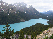 Peyto Lake