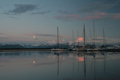 Mooie plaatjes schieten in de haven.